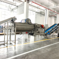 Industriële appel-, groente- en fruitwasserinstallatie, fruitborstelwasapparatuur voor het reinigen van uien