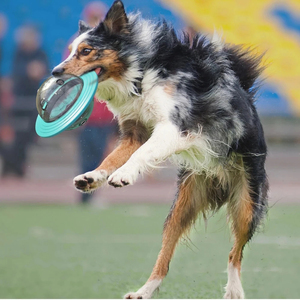 <span class=keywords><strong>Jouet</strong></span> pour chien à alimentation lente pour chiens de petite, moyenne et grande taille, chats, amusant et <span class=keywords><strong>interactif</strong></span>, améliore l'IQ, jouets Puppy Planet, <span class=keywords><strong>Chihuahua</strong></span>, Beagle, fournitures pour animaux de compagnie - Product Image 3