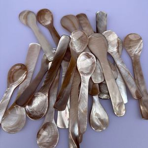 Cuillères à glace en coquillages naturels, cuillères à café en nacre, cuillères à mélanger, cuillères à thé, outils de cuisine et d'artisanat - Product Image 2