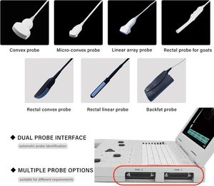 EUR VET 훌륭한 판매 수의학 장비 고급 디지털 휴대용 초음파 노트북 초음파 병원 용 - Product Image 3