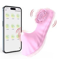 Vibrateur de style lingerie féminine contrôlé par application, rechargeable par USB, 100 % étanche, gode insérable pour stimulation clitoridienne