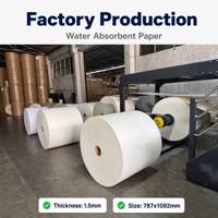 Papier absorbant écologique 1,0 mm 2,0 mm 3,0 mm 70*100 cm à absorption rapide pour désodorisants de voiture, sous-verres et papiers de test de parfum