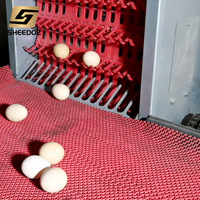 Cage à poules pondeuses de type H pour élevage en batterie, vente de cages à poules pondeuses pour élevage