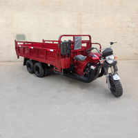 Vente en gros de tricycle motorisé à moteur 9 roues 300 cm3 refroidi par eau tricycle de moto cargo haute puissance pour l'agriculture