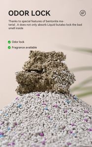 Échantillon Gratuit – Litière pour Chat Sphérique Écologique à Agglomération Rapide, Faible Poussière, 99% Gris Clair, Hautement Adsorbante, à base de Bentonite de Sodium, 5L - Product Image 4