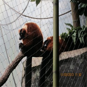 Cercado de zoológico estético de malla de aviario de acero inoxidable para jardín zoológico - Product Image 3