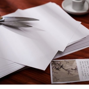 Papel Desprendible en Blanco Tamaño A4, Disponible por Ambos Lados, Libro de Pegatinas Reutilizable para Coleccionar, Imprimible para Manualidades e Impresión - Product Image 3