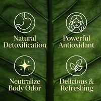 Poudre de détox à la chlorophylle OEM favorise la détoxification, soutient le nettoyage intestinal, renforce l'immunité, complément pour la santé intestinale
