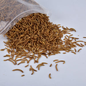 Insetti Essiccati ad Alto Contenuto Proteico <span class=keywords><strong>per</strong></span> Alimentazione di <span class=keywords><strong>Pappagalli</strong></span> e Uccelli - Product Image 1