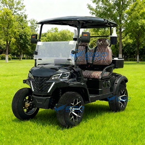 Carrito de Golf Eléctrico de 2 Plazas, Vehículo Eléctrico de Uso Común en Áreas Recreativas, Carrito de Golf Eléctrico para Turismo - Product Image 1