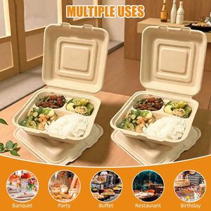 Compostable Disposable 2 <b>Compartments</b> Restaurant Bento <b>Lunch</b> <b>Box</b> to Go Disposable Meal Prep Container - Product Image 3