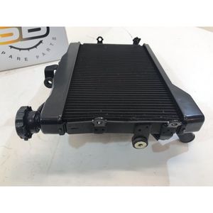 Manuale del Proprietario per Triumph Speed Triple 1050 2008-2010 - Product Image 4