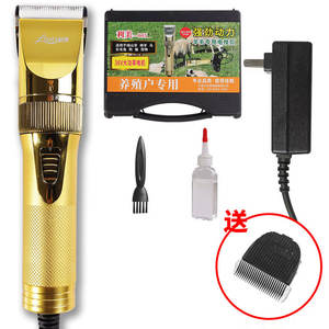 Cortadora Eléctrica Dorada Limei 005 de 36V con Cable para Perros y Cabras, Herramienta de Peluquería Canina - Product Image 1