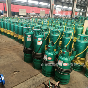 ปั๊มทรายใต้น้ำป้องกันการระเบิดสำหรับเหมือง Bqs30-150/2-37/N กำลังไฟ 37 กิโลวัตต์ แรงดันไฟฟ้า 1140 โวลต์ อุปกรณ์ระบายน้ำ - Product Image 2