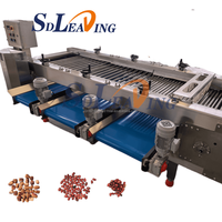 Industriële automatische machine voor het verwerken van dadels, inclusief wasmachine en sorteermachine voor het wegen en sorteren van Medjool dadels.