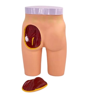 Maniquí de entrenamiento para inyecciones intramusculares glúteas, simulador de glúteos y cadera, modelo de medio <span class=keywords><strong>cuerpo</strong></span> para enfermería, escuelas y hospitales - Product Image 1