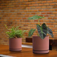 Vente en gros de pots de fleurs en céramique de terre cuite, design personnalisé, pour jardinage intelligent, jardinières pour plantes succulentes, pots en terre cuite pour plantes