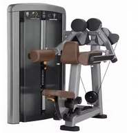 Machine de musculation pour levée latérale assise REYK, prix usine, en acier, pile de poids 75 kg, équipement de gym pour musculation