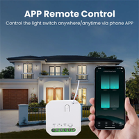 Tuya Mini Smart Switch Wifi + RF433Mhz Minuterie de relais de contrôle 1 voie Automatisation sans fil durable Fonctionne avec Alexa et Google Home