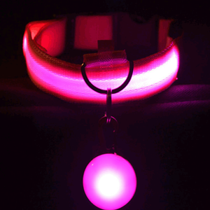ปลอกคอสุนัขแบบ LED ชาร์จไฟได้ ปรับขนาดได้ สะท้อนแสง สำหรับเดินกลางคืน ปลอดภัยสำหรับสัตว์เลี้ยง - Product Image 2