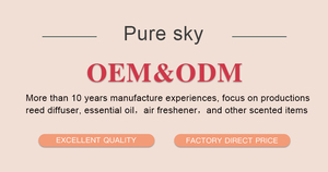 Tùy chỉnh 250ml thiết kế ban đầu loạt rượu vang trái cây không có lửa hương liệu nhà tinh dầu hương thơm khuếch tán sậy - Product Image 5