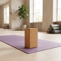 Syntus Kork Yoga Block & Gurt Set 2-teilig Hochdichte Weiche Rutschfeste Yoga-Blöcke 9x6x4 Zoll 8FT Metall D-Ring Gurt für Pilates
