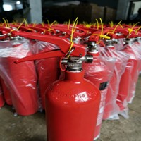 Extincteur à CO2 certifié américain, cylindre de 2 kg, type Mexique, dispositif de lutte contre l'incendie au dioxyde de carbone