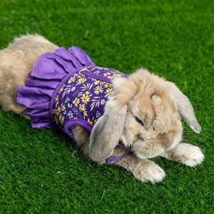 兔子背带牵引绳防逃透气柔软花卉网状涤纶混纺魔术贴闭合仅可手洗户外露营 - Product Image 6