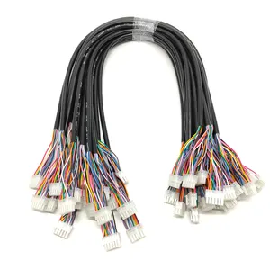 Aangepaste Mini Fit 2 Rij 12way Kabelhouder Molex 4.2Mm 5557 12P Vrouwelijke Connector Kabel Assemblage