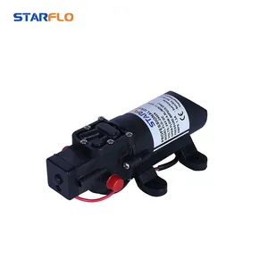 STARFLO elektrische marine Miniklo-Wasserpumpe preis selbstausstattende Mikro-Diaphragmen-Wasserpumpe 24 V