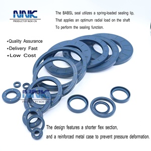 Con Dấu Trục Cơ Khí Quay Hướng Tâm/Con Dấu Dầu Babsl Cho Bơm Thủy Lực/Con Dấu Bơm Áp Suất Cao Của Đức Cfw - Product Image 3