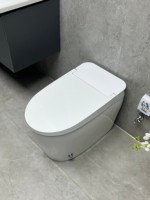 Bidet sans prise électrique, à pression d'eau, manuel, pour lavage des parties intimes et hygiène féminine, produits sanitaires écologiques pour la salle de bain