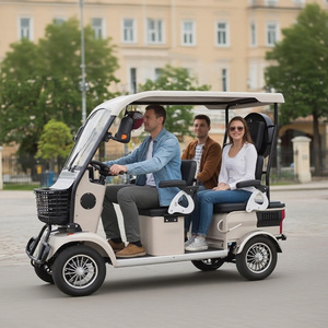 Holladay Ebike Quadricycle Urbain à 4 Roues avec Toit Amortisseur, Mini Scooter, Voiturette de Golf pour Adultes, Ebike 4 Roues - Product Image 2