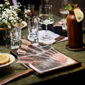 Piques à cocktail Martini en acier inoxydable de luxe, portables, écologiques, durables, réutilisables, pour apéritifs, sandwichs - Product Image 3