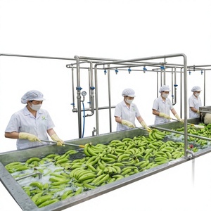 Poudre de banane verte nouvelle génération pour les produits Clean Label, à base de plantes et axés sur la nutrition - Product Image 1