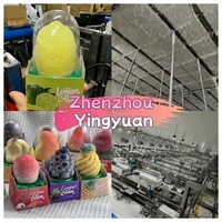 Aziatische voeding citroen lychee perzik druif mango appel fruit ijs 3D 75g*12 stuks Chinese exotische chocolade ijslolly diepvriesopslag
