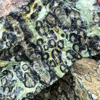 Vente en gros de pierre de cristal naturelle Kambaba de Madagascar de haute qualité pierre brute avec pierre Kambaba brute de style Feng Shui