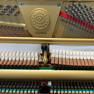 Instrumento de teclado musical <span class=keywords><strong>Piano</strong></span> acústico negro <span class=keywords><strong>Piano</strong></span> <span class=keywords><strong>vertical</strong></span> con patas rectas - Product Image 4