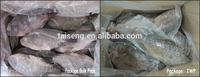 Tilapia Congelada Nile Poisson Congel para la Venta, Pescado Fresco Vivo, Tilapia para la Venta a Precio Mayorista