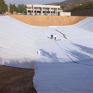 <span class=keywords><strong>Agrafe</strong></span> <span class=keywords><strong>géotextile</strong></span> non tissé à fibres courtes géofabrique pour la construction de routes - Product Image 2