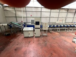 Unitec 2 líneas para cereza/tomates en Italia Frutas y verduras de alta eficiencia Línea de clasificación usada para la industria agrícola - Product Image 3