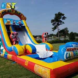 Commercial Kids Movie Theme Slide High Quality 0.55mm PVC Inflatable Water Slide Adult Waterslide With Pool