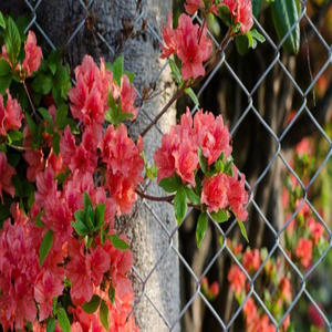 Vente en gros de poteaux de clôture à maillons de chaîne coudés de 8 pieds 13 500 Chine 10 clôtures avec 6 services de modélisation 3D peints <span class=keywords><strong>Tata</strong></span> inclus - Product Image 3