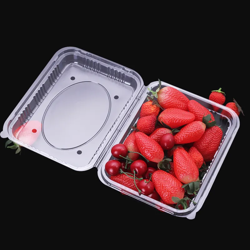 Kotak buah cangkang kerang plastik transparan grosir wadah makanan kemasan sekali pakai