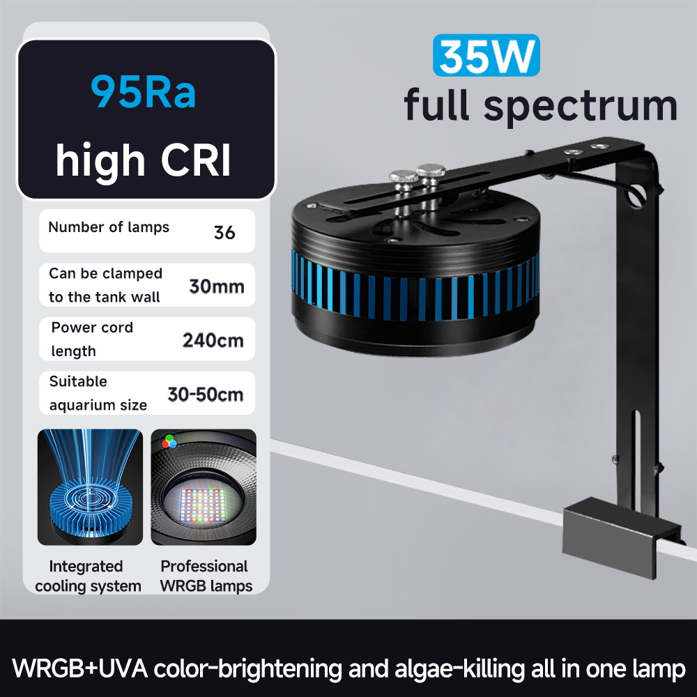35 W (support inclus)
