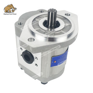 Pompe à déplacement fixe OEM 227785001 Pompe à engrenages pour bétonnière SCHWING 14CM3 - Product Image 6