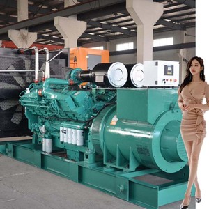 Générateur diesel portatif de Type silencieux de 380V 8 KW, générateur diesel résistant triphasé à C.A. 380V à vendre le générateur 21kva - Product Image 6