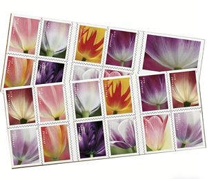 2022 Love Forever 2023 Tulip Blossoms Us Postage Floral Forever Mail 5 fogli da 100 pezzi <span class=keywords><strong>di</strong></span> francobolli postali adesivi Disponibilità locale - Product Image 6