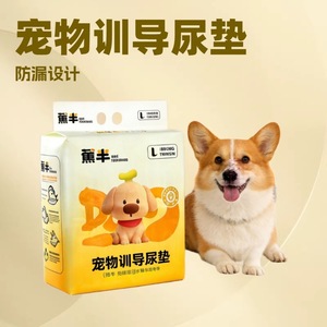 Tapis d'entraînement pour animaux de compagnie, taille L, conception anti-fuite pour chiens et chats - Product Image 1