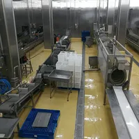 Chaîne de traitement et d'abattage de volailles (poulets, dindes, canards, oies) de petite et grande taille